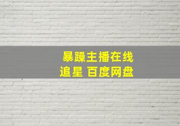 暴躁主播在线追星 百度网盘